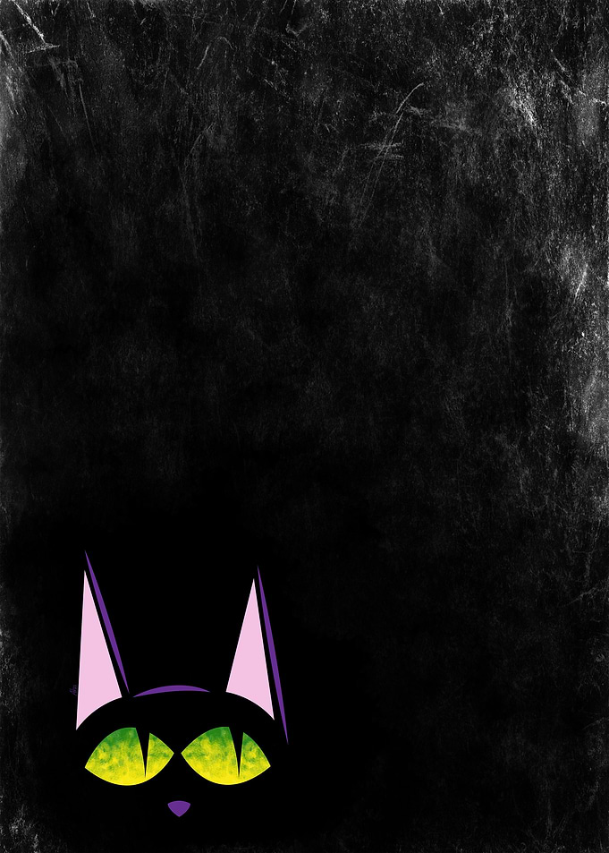 Black cat