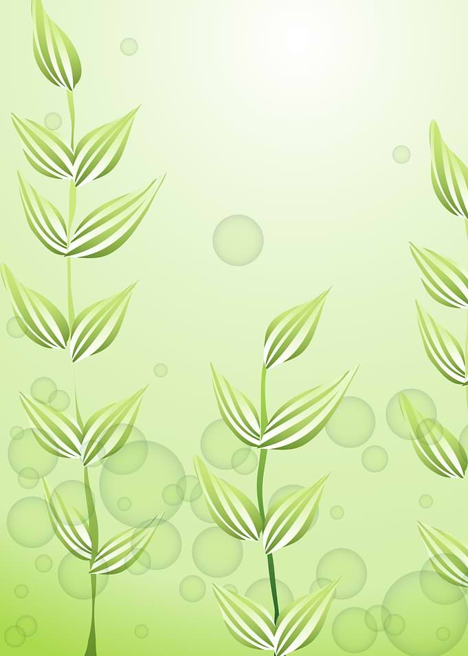 Underwater Plants