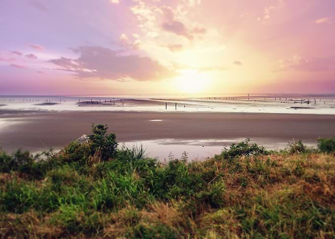 Purple sky