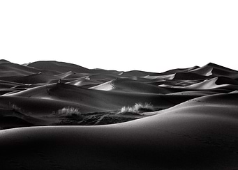 Sahara