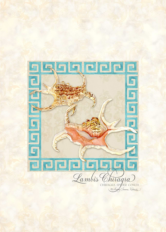 Greek Key Lambis Chiragra Conch Shells Watercolor - Han ...