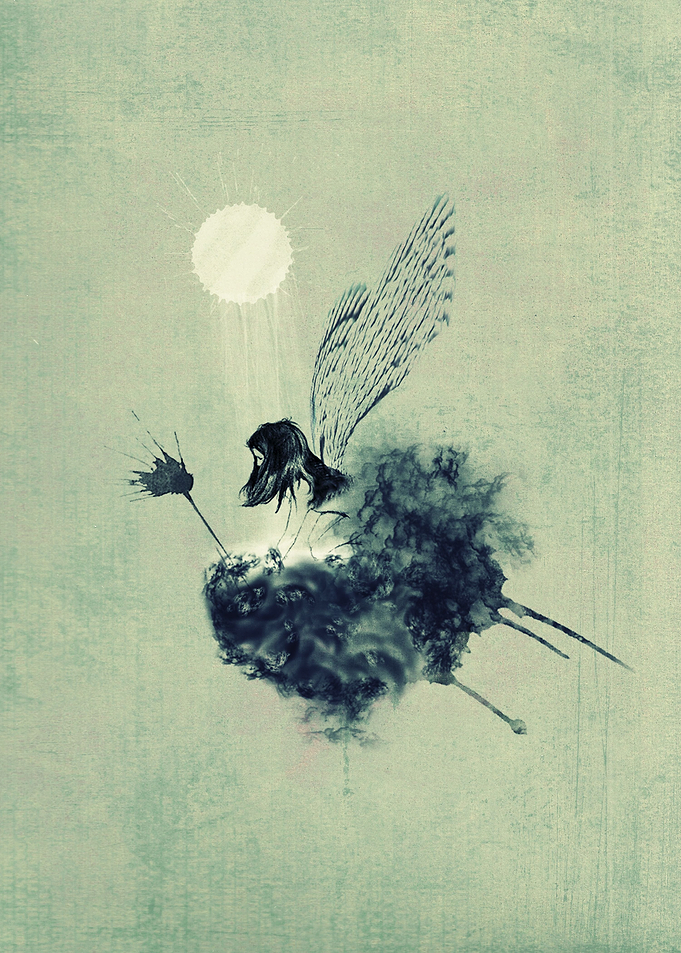Fairy calypso