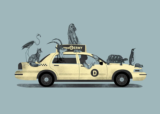 1-800-TAXI-DERMY