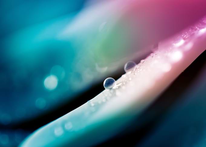 Lightwave