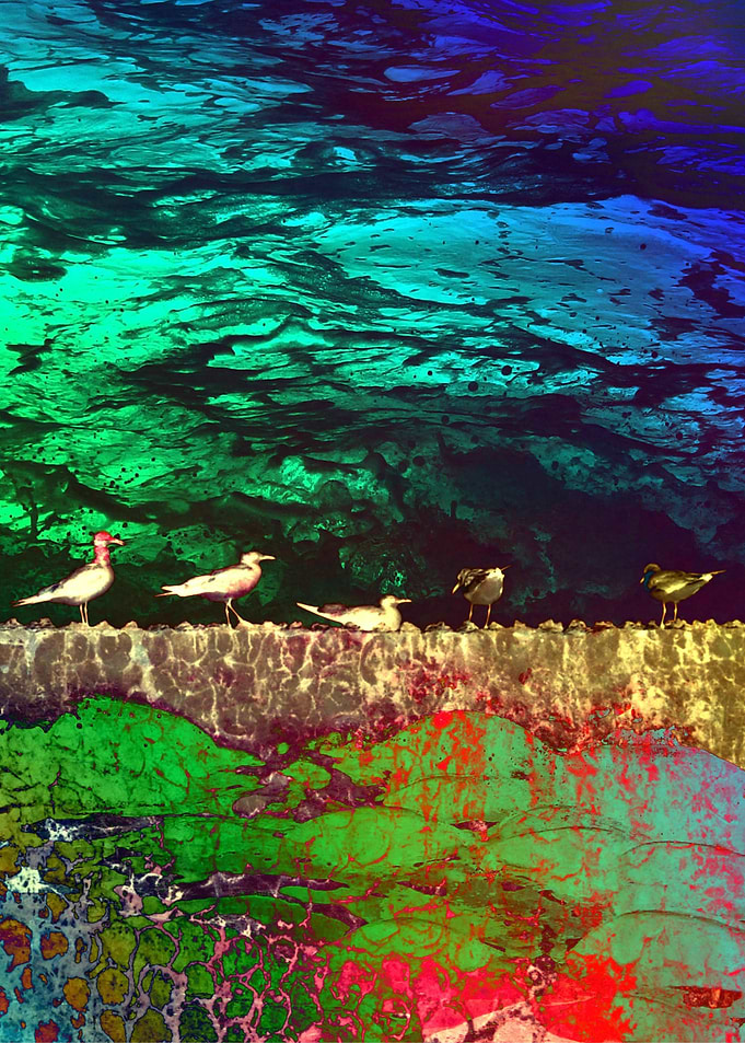 golden seagulls