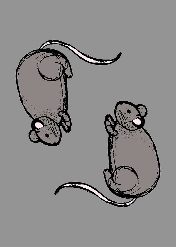 mice! BY GASPONCE