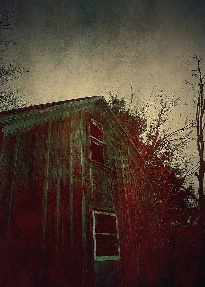 The Bleeding House