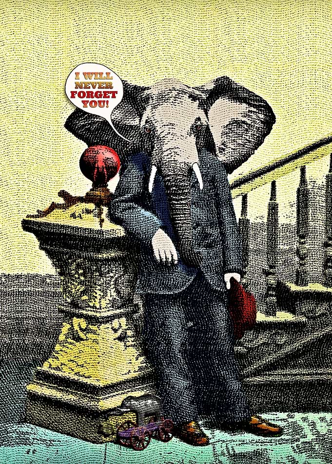 An Elephant Never Forgets