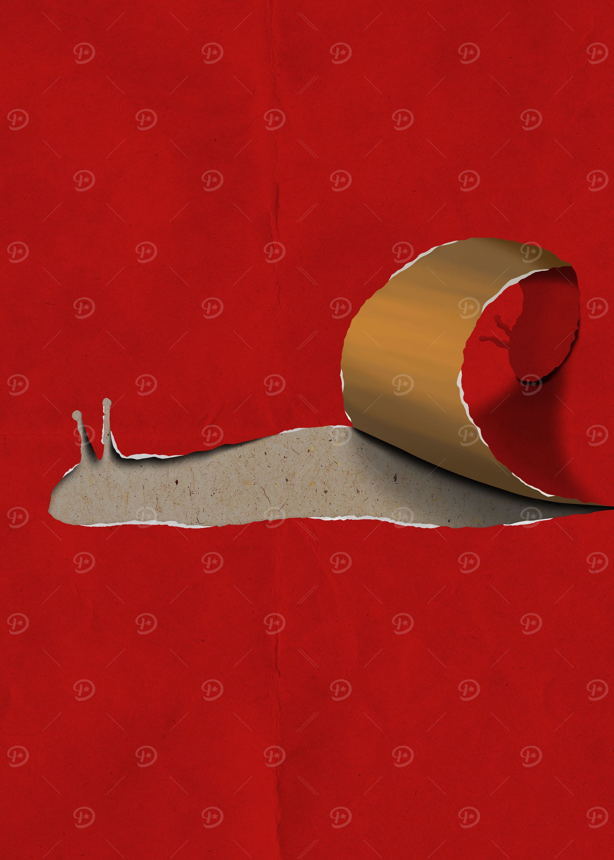 snail