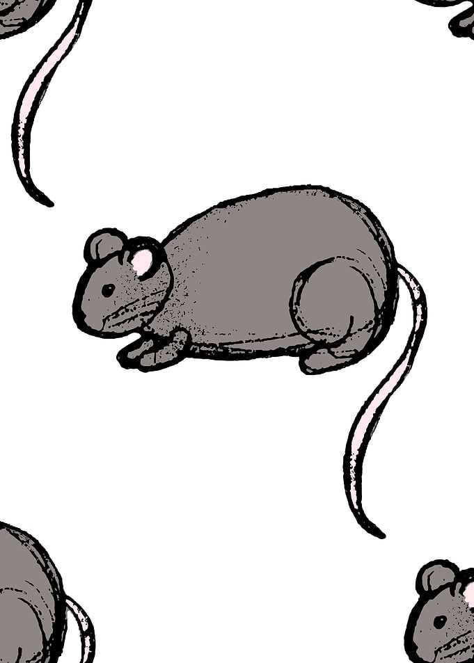 mouse BY GASPONCE