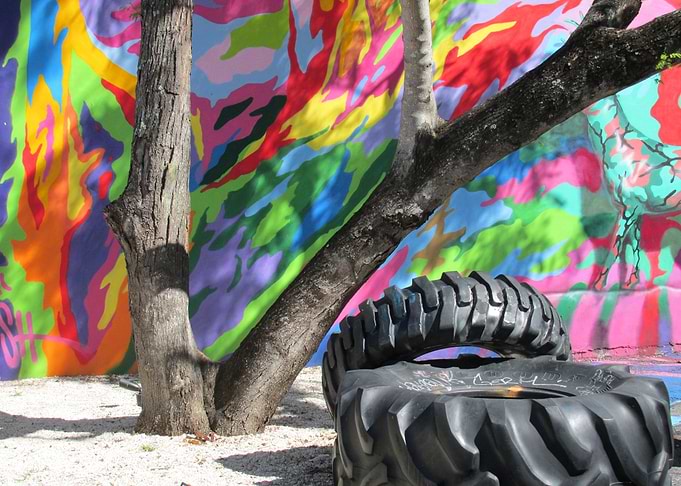 Wynwood Art District