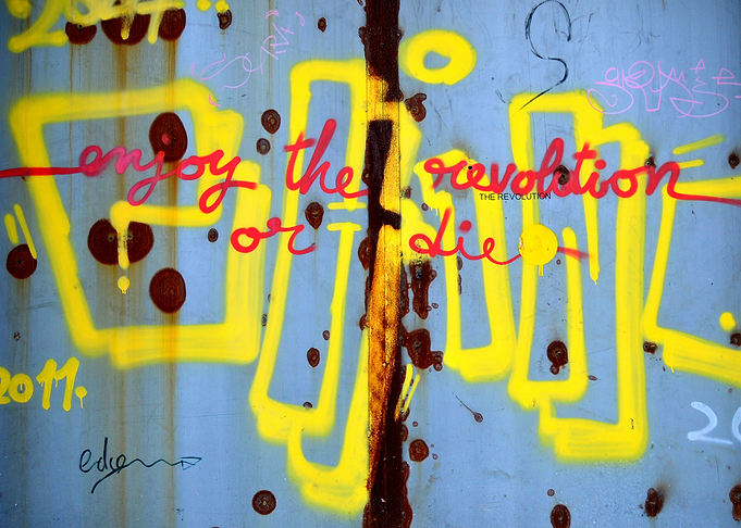 ___enjoy the revolution or die___