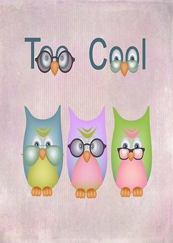 Too Cool Owls