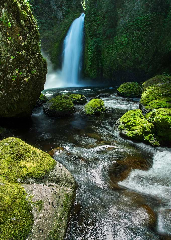 Eden's Lagoon