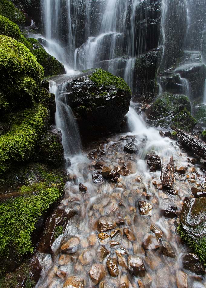 Fairy's Tranquility