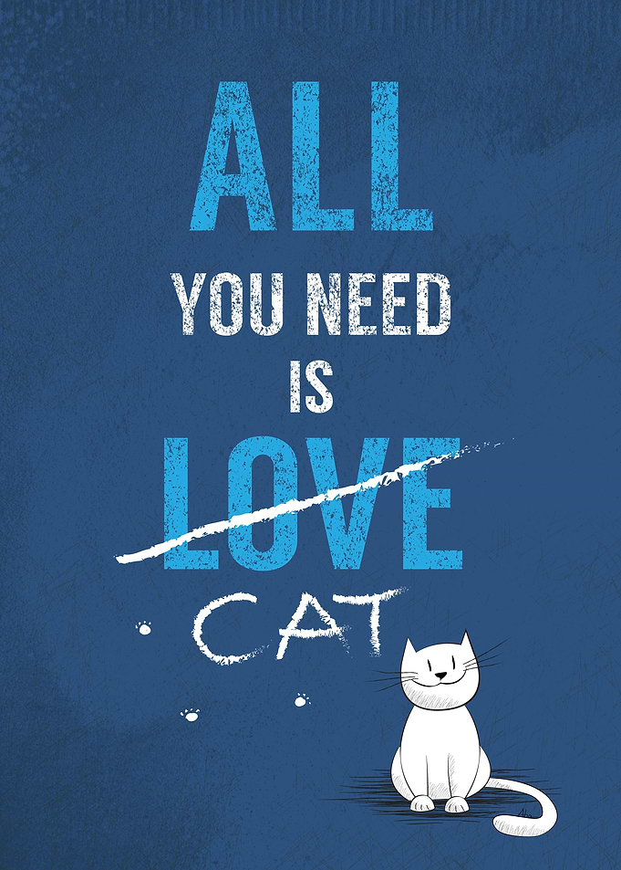 All you need is a cat