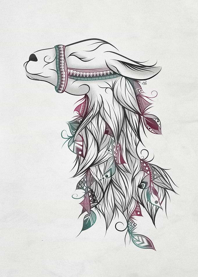 Llama