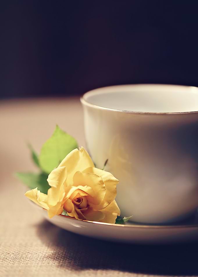 Tea Time and Roses