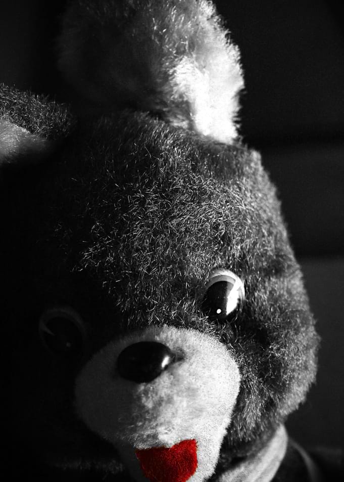 Mr. Bear