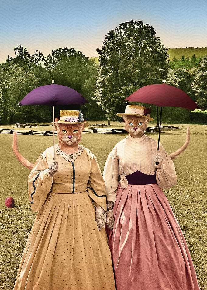 Two Pretty Kitties
