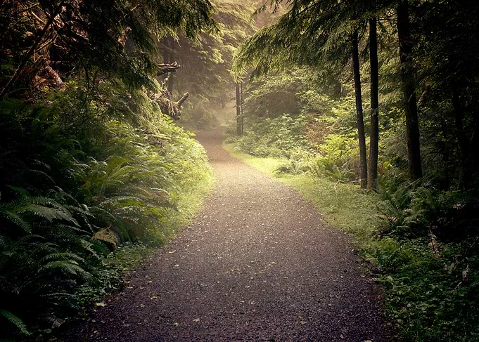 Secret Places