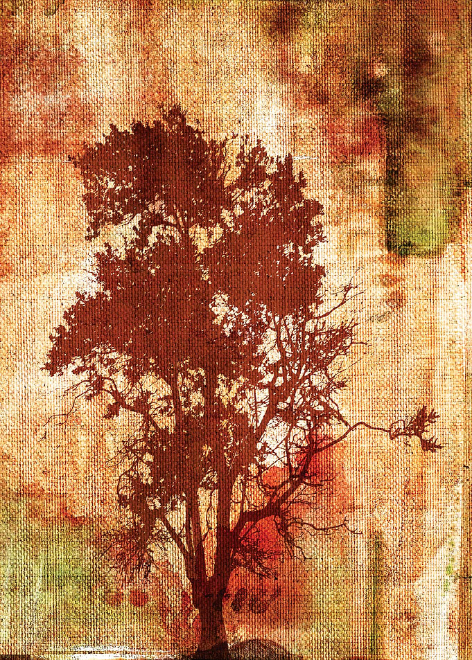 Stranded, but serene - Stained canvas texture