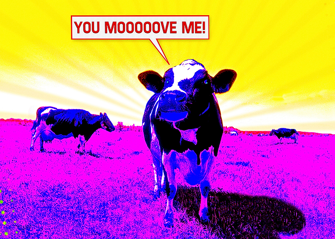 Psychedelic Cows