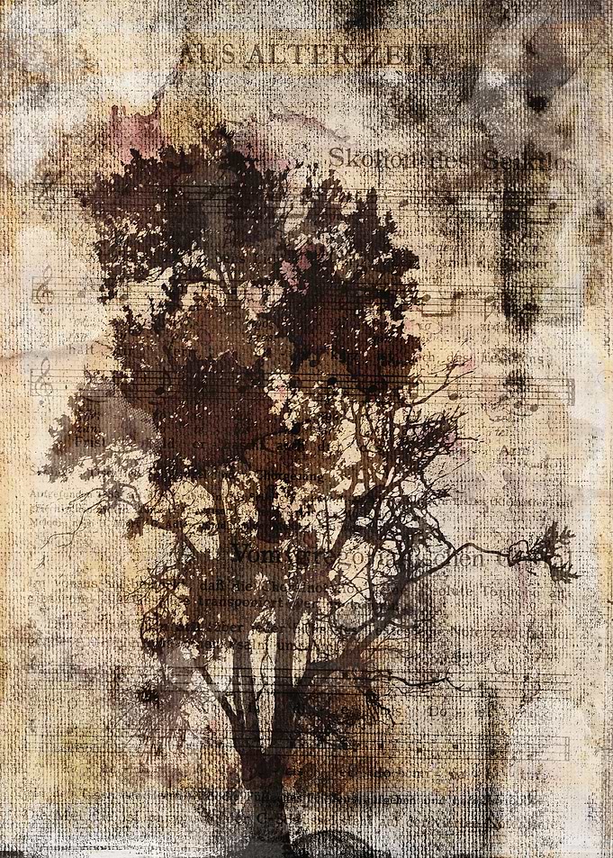 Trees sing of Time