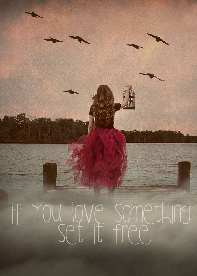 set it free