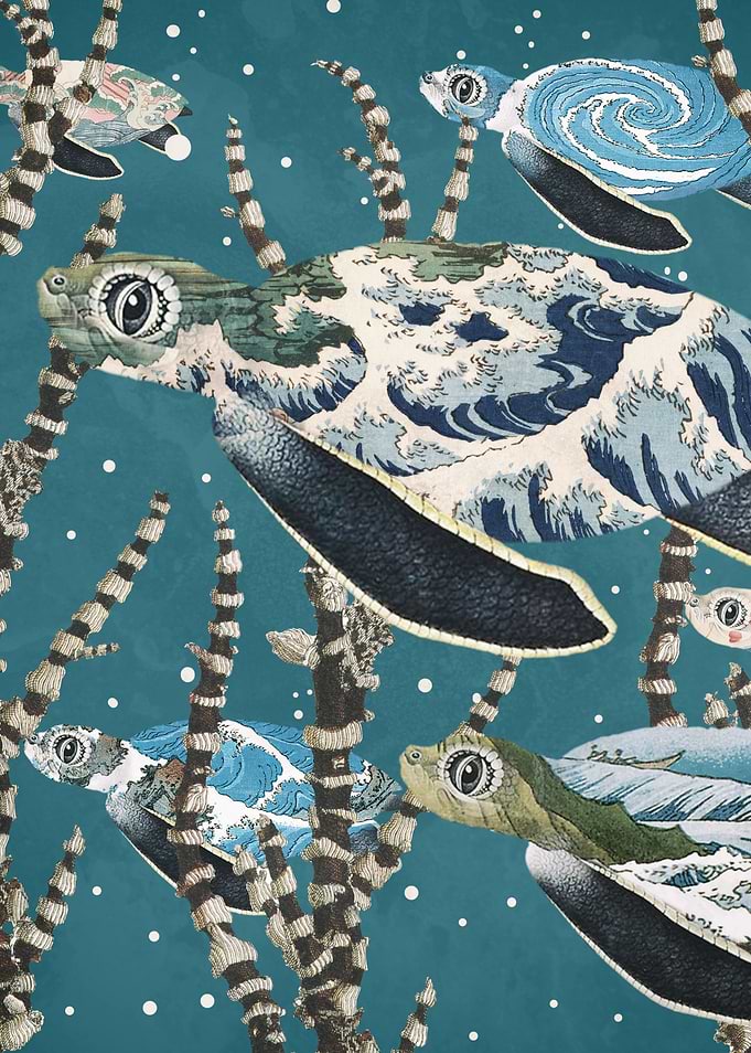 Sea Turtle Migration