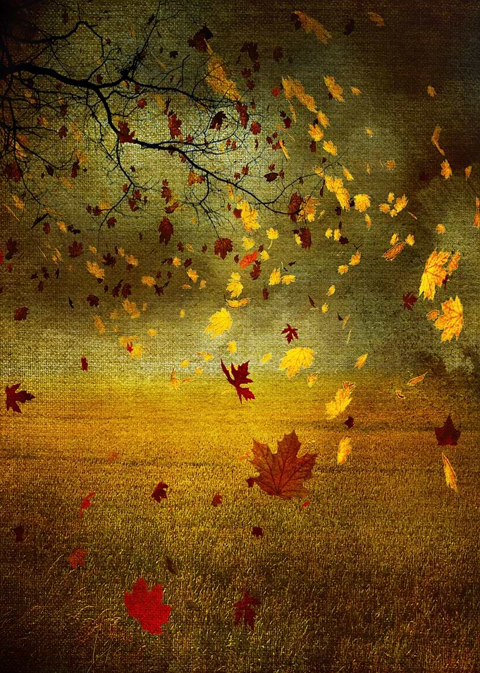 Autumn