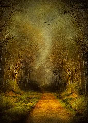 Mysterious footpath