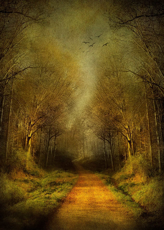 Mysterious footpath