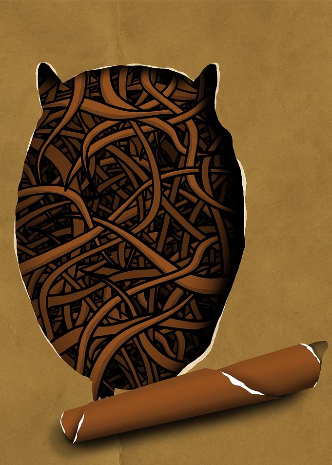 owl