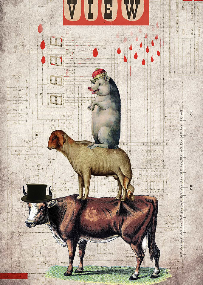 Animal Collection -- Together