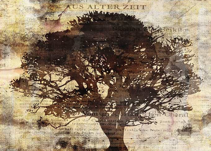 Trees sing of Time - 2
