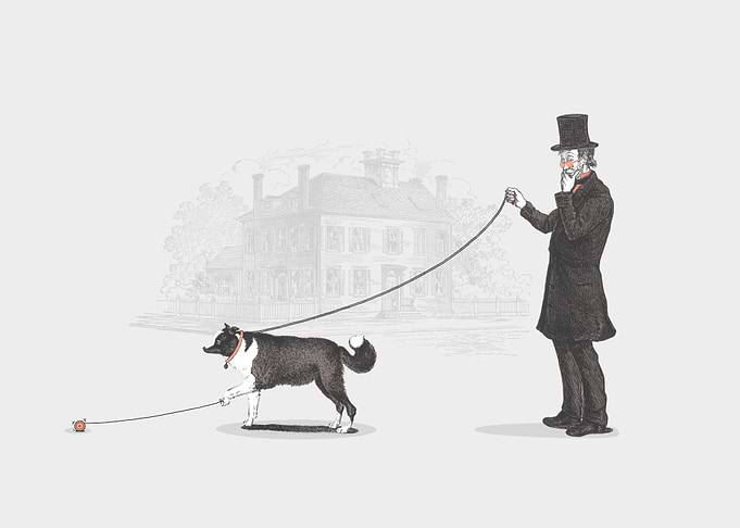 Walking the Dog