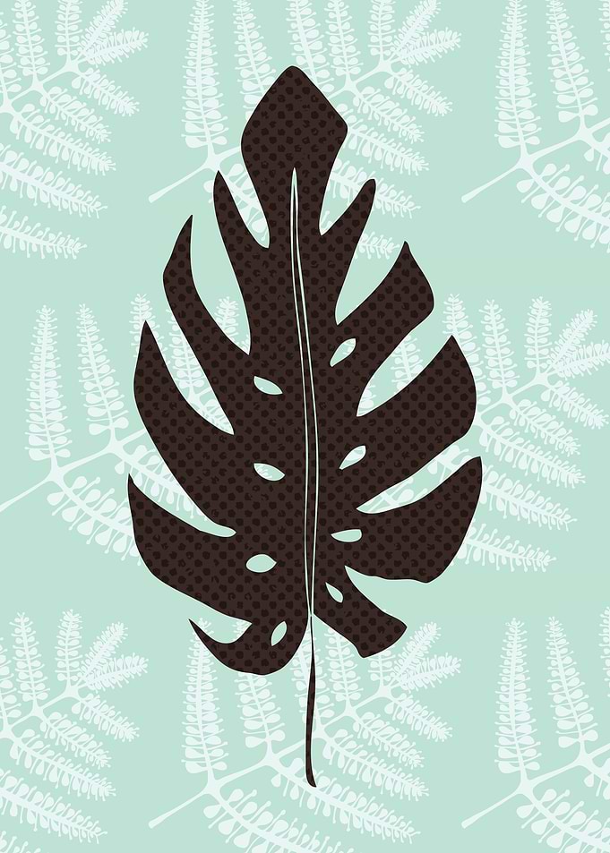 Monstera