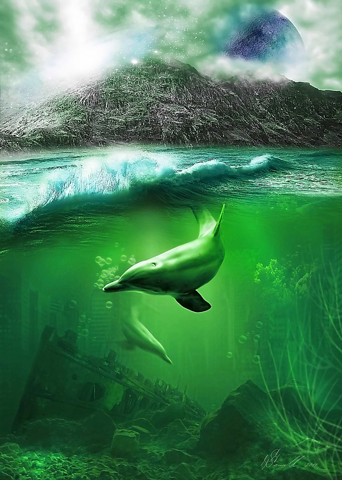 Dolphin