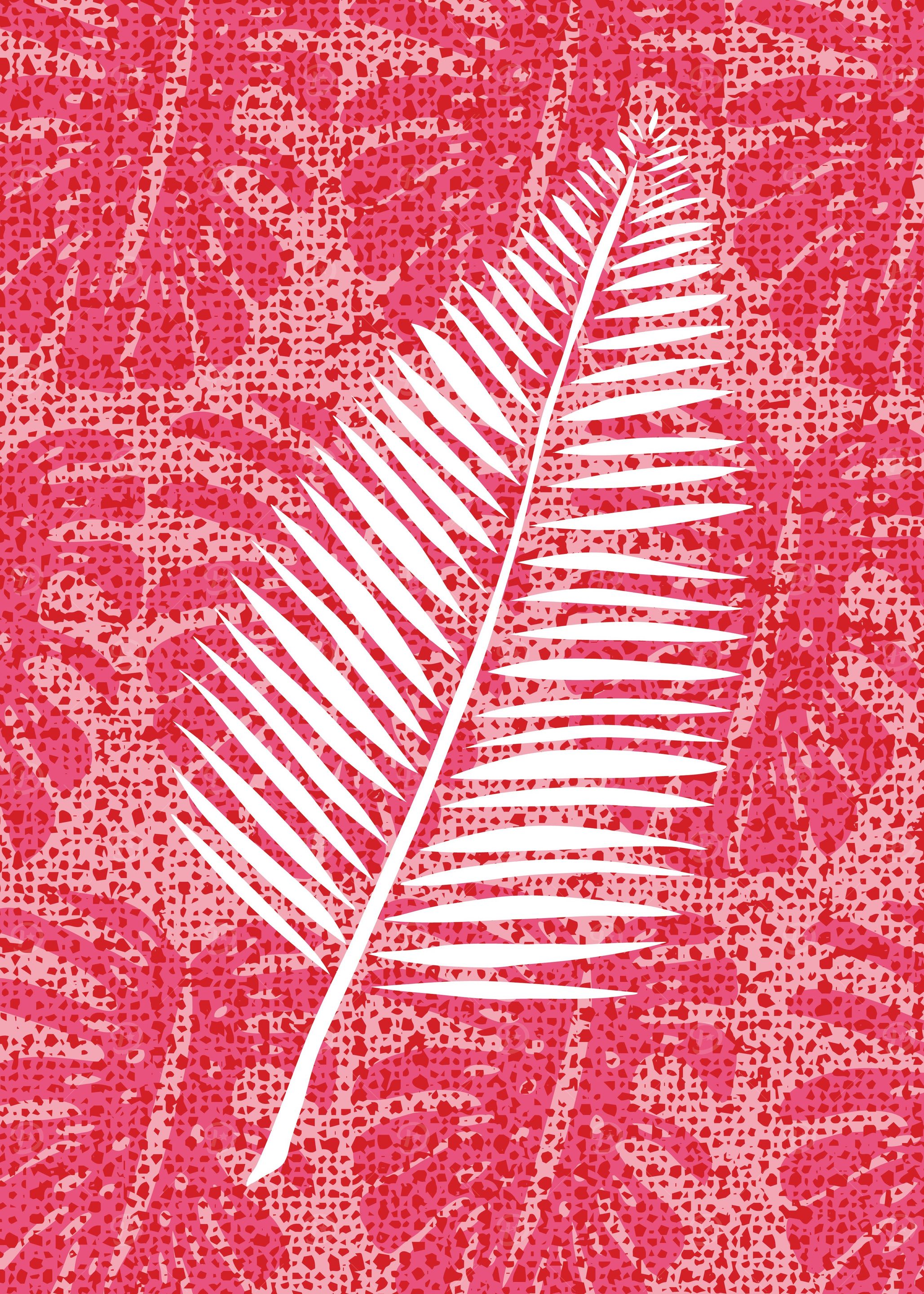 Palm