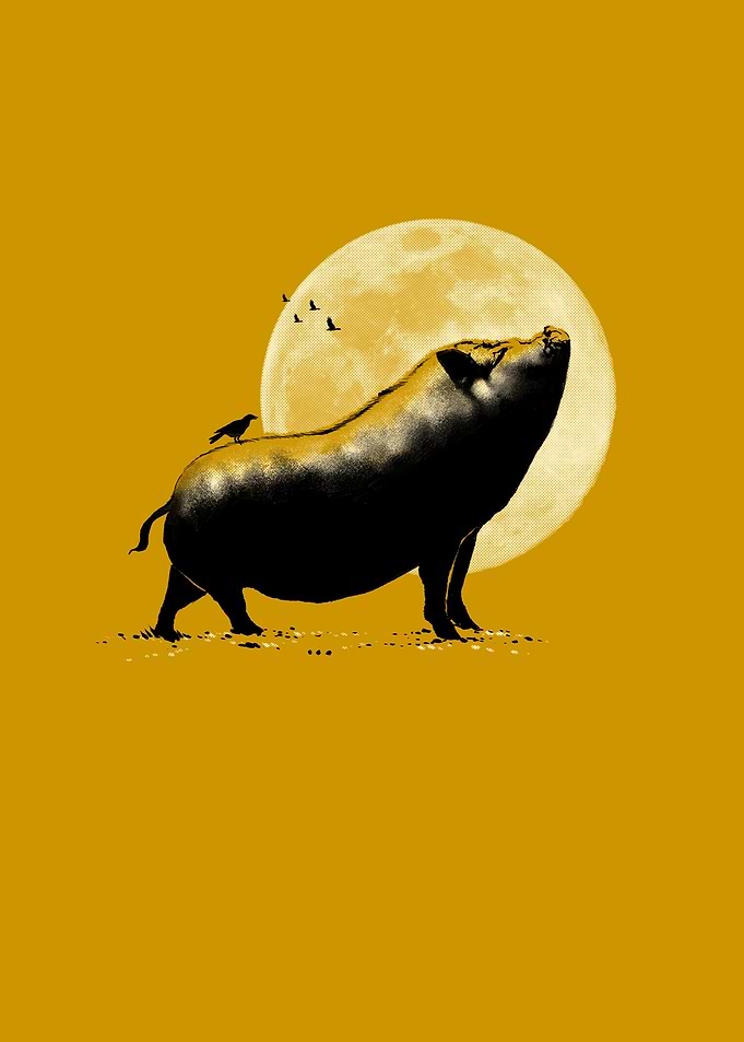 Barking pig