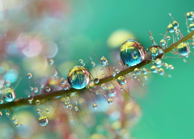 Smokey Rainbow Drops