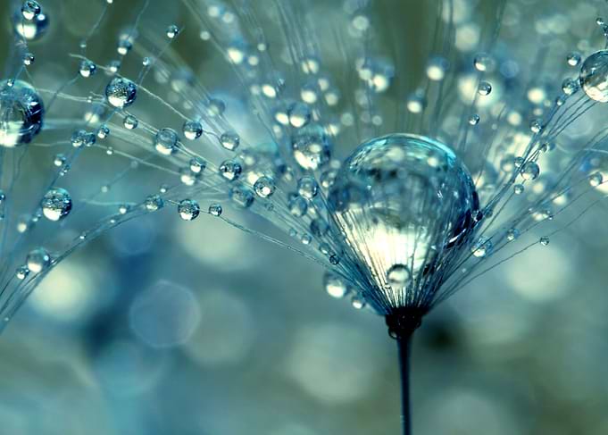 Blue Sparkles