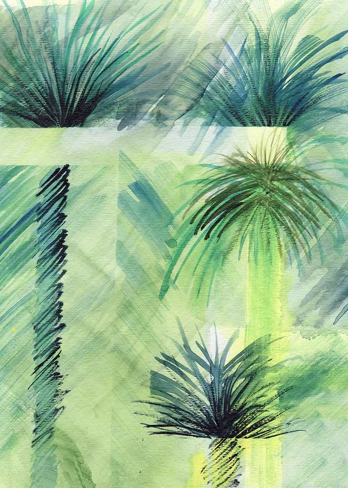 Palm Trees
