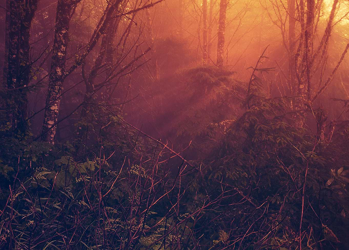 Mists of Heaven