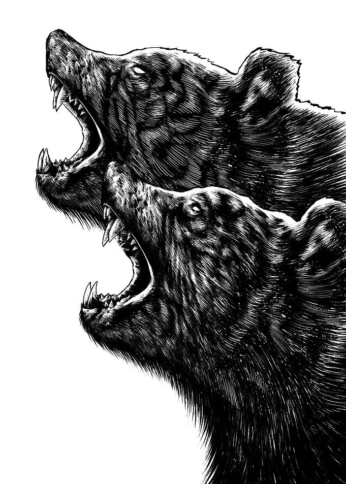 2bear