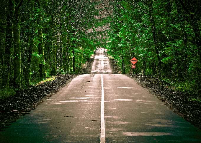 The long road