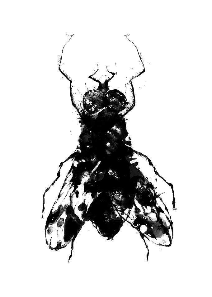 Thefly