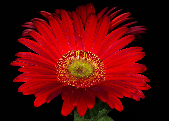 Red Hot
