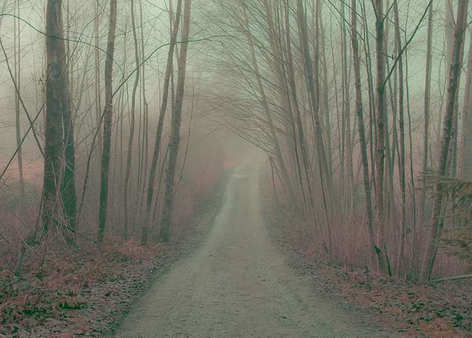 The Peaceful Path